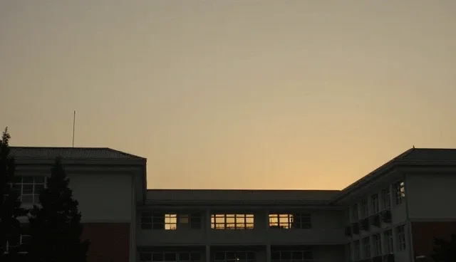 系统实施中应用场景分析的常见误区澄清